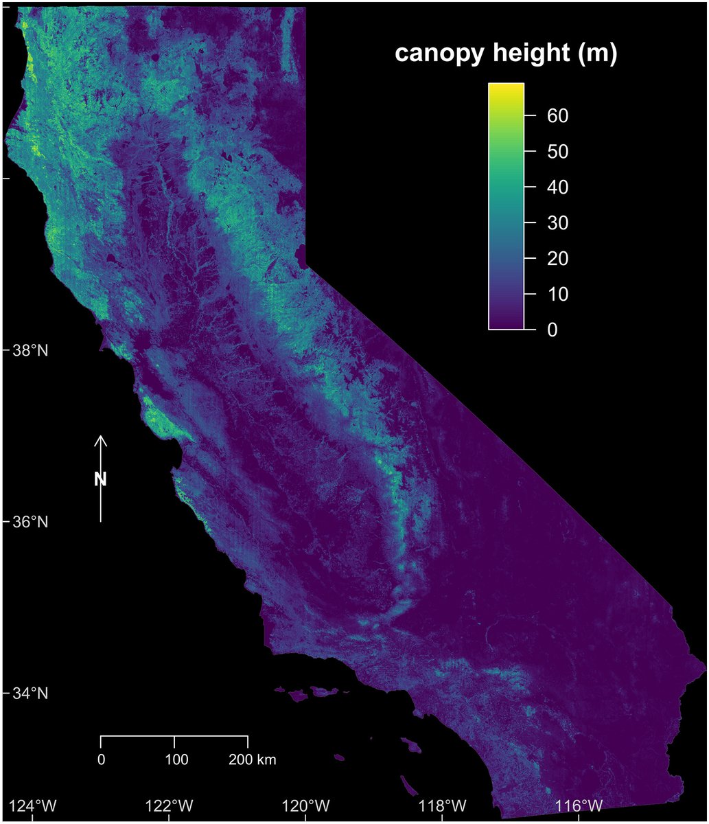 RELEASE: CTrees scientists led by <a href="/FabienWagner/">Fabien Wagner</a>  have mapped the height of all trees in California by applying a deep learning model to very high resolution aerial imagery. 

The result is the most accurate map of the state's canopy height to date 🌐🌲ctrees.org/news/californi…