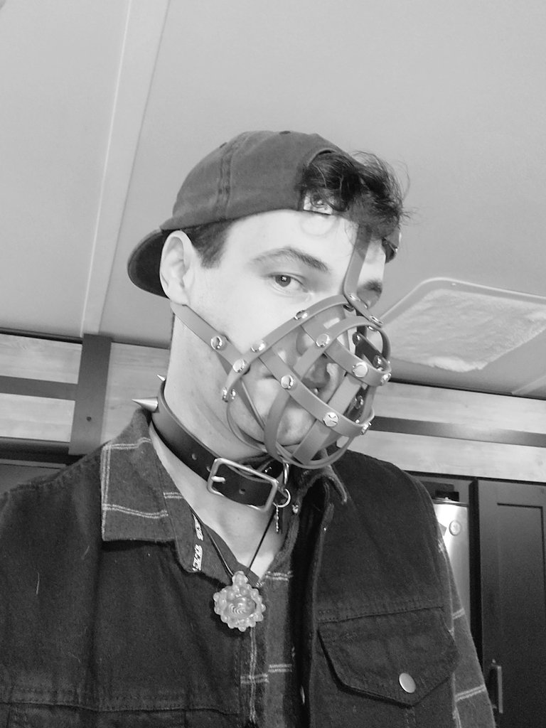 TwisterDawson's tweet photo. ⚠️This dog may bite.⚠️
🐕🦺: @RamShackleGear
#allblackeverything #pup #pupplay #goodboy #maybite https://t.co/b2NTDaJpsk