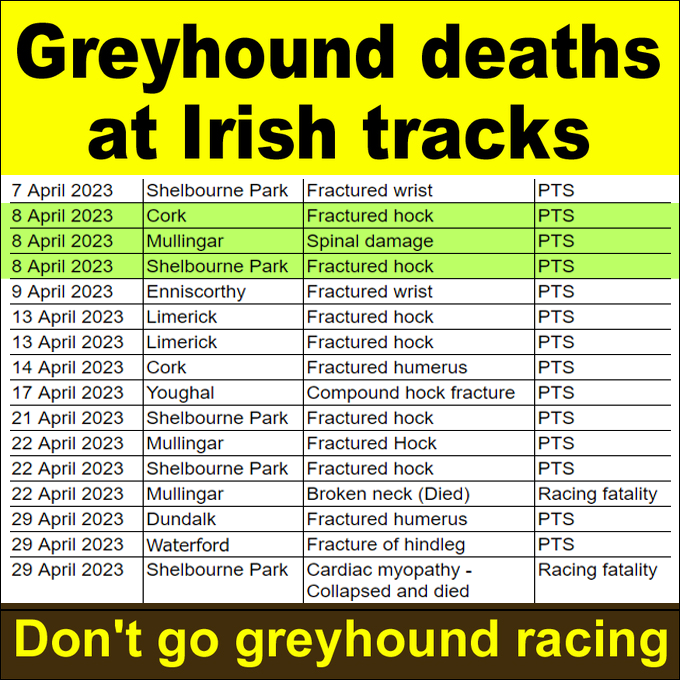 On this day last year, 3 greyhounds were killed by vets at #Cork, #Mullingar and Shelbourne Park tracks after suffering fractured hocks and spinal damage banbloodsports.wordpress.com/2024/03/15/rac… Don't go greyhound racing. #Ireland #YouBetTheyDie #BanGreyhoundRacing