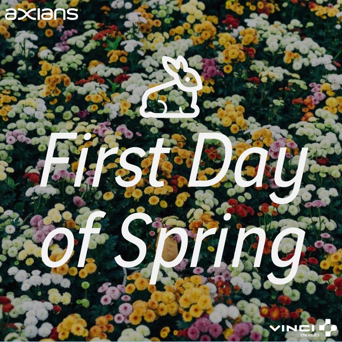 Axiansusa's tweet photo. 🌷🌞March 20, is the first full day of Spring—a season of renewal, growth, and endless possibilities. What better time to rejuvenate your technology strategy? Visit us at https://t.co/rlOvl1VNjn to explore how we can help your business grow this season. 🌼💻
#FirstDayofSpring https://t.co/6eNoDI4QID