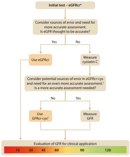 cardioteca's tweet photo. 🆕📌 Nueva guía KDIGO 2024 para la evaluación y manejo de la enfermedad renal crónica.

📕 Kidney Int
🔓 https://t.co/p0I7u51CAS https://t.co/szmU6PI7fq