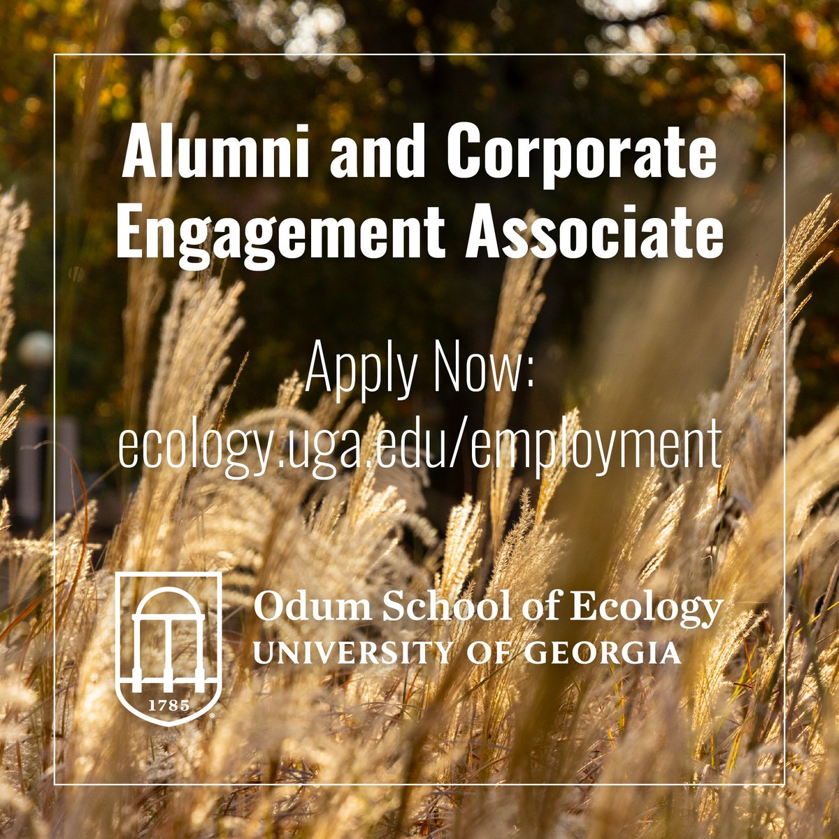 We're hiring! Two positions open: PR & Media Specialist and Alumni and Corporate Engagement Associate. Join our small but impactful community! More info 👉 t.uga.edu/9M9