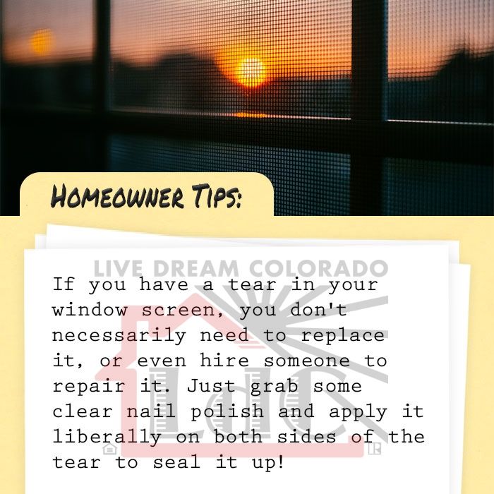 LaurenDCollier's tweet image. If you have a tear in your window screen, you don't necessarily need to replace it, or hire someone to repair it. Just grab some clear nail polish and apply it liberally on both sides of the tear to seal it up!

•#DIYHomeProjects
•#HomeRepairSolutions
•#HomeImprovementHacks