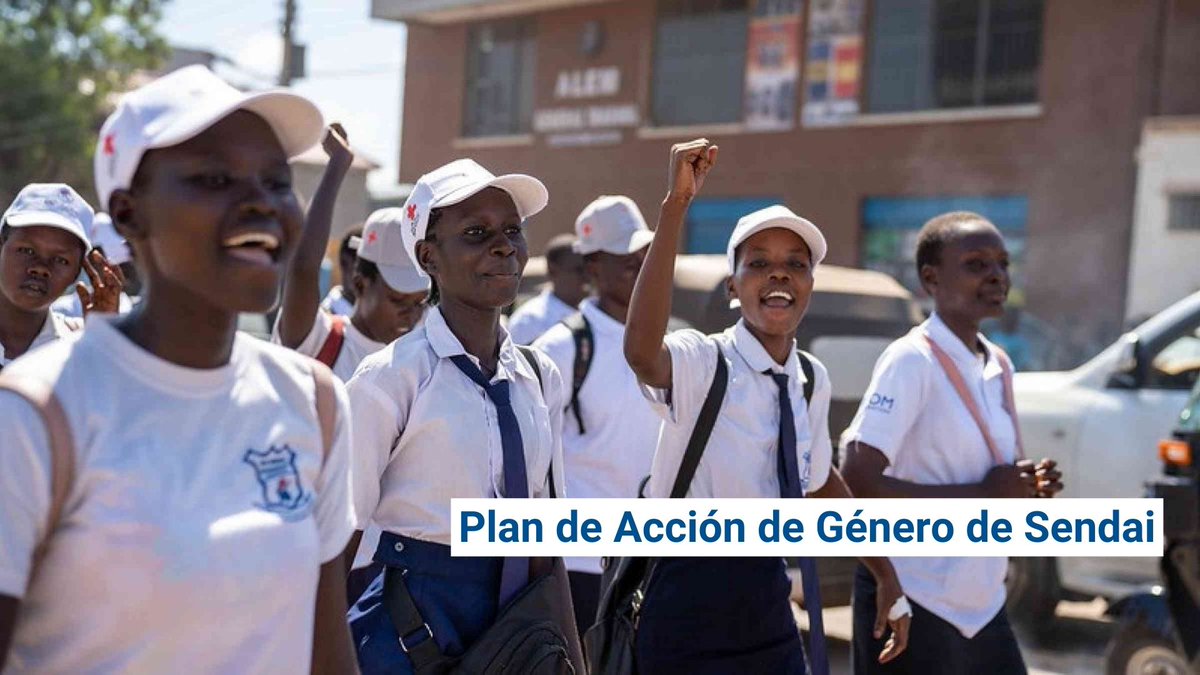 UNDRR_Americas's tweet photo. 🗣️9 años después de la adopción del Marco de Sendai, celebramos el lanzamiento del Plan de Acción de Género para Apoyar la Implementación del Marco de Sendai para la #RRD. 

Lea la nota completa➡https://t.co/4gfkqy4DcD
Descargue el plan➡ https://t.co/fjCldh3xdJ https://t.co/fPJIikehdO