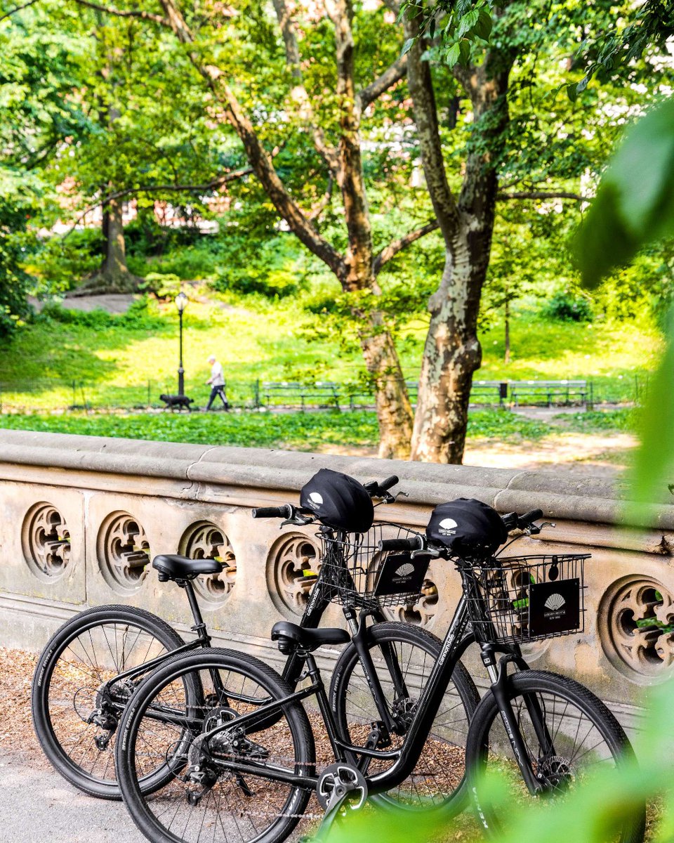 Embrace the warmer weather as you pedal through blooming Central Park with your own two-hour guided private bike tour. Learn more at the link in bio. #MandarinOrientalNewYork #ImAFan #NYCBiking