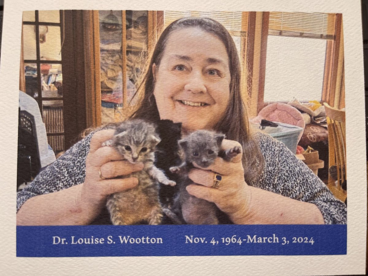 Jet Research tweet media