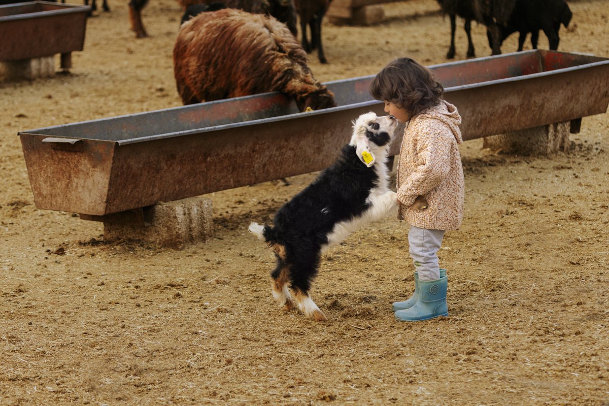 İsmail ile Beşooo❤️