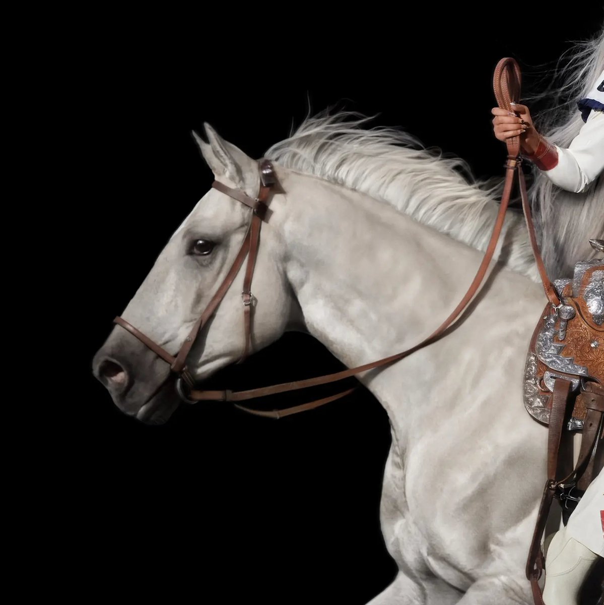 BEYONCÉ LEGION 𐚁 tweet media