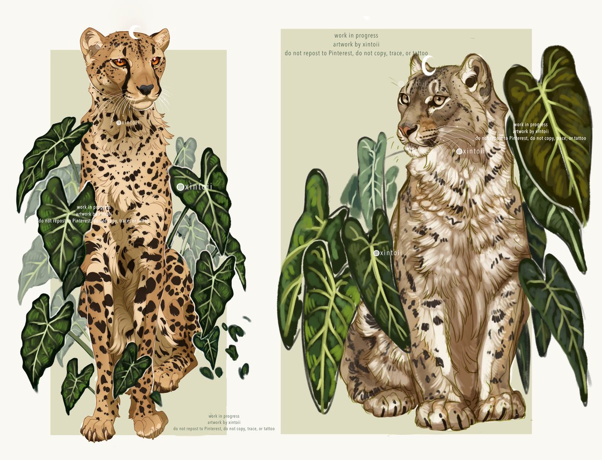 xiintoii's tweet photo. cheetah and snow leopard wip! https://t.co/ubdDtrcBaA