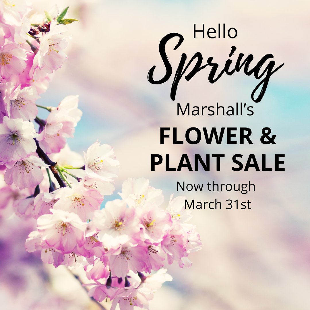 Spring is officially here! We're thrilled to offer a variety of beautiful spring flowers and plants. Whether you're looking for single plants, flats, or hanging baskets, we've got something for everyone.  Orders must be received by Monday, April 1st.
gcmhighschool.memberhub.com/store?limit=21…