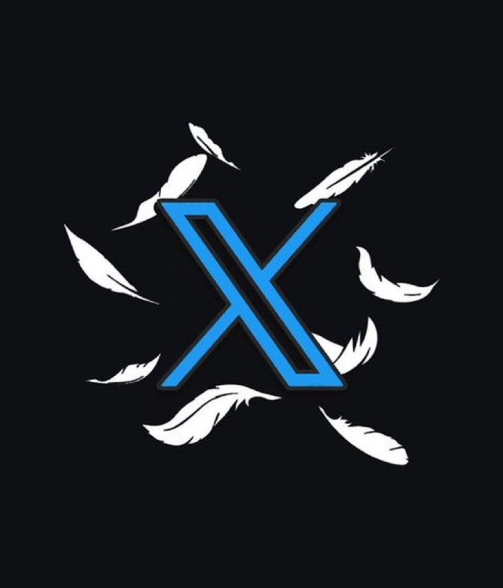Do you like this 𝕏 app logo?