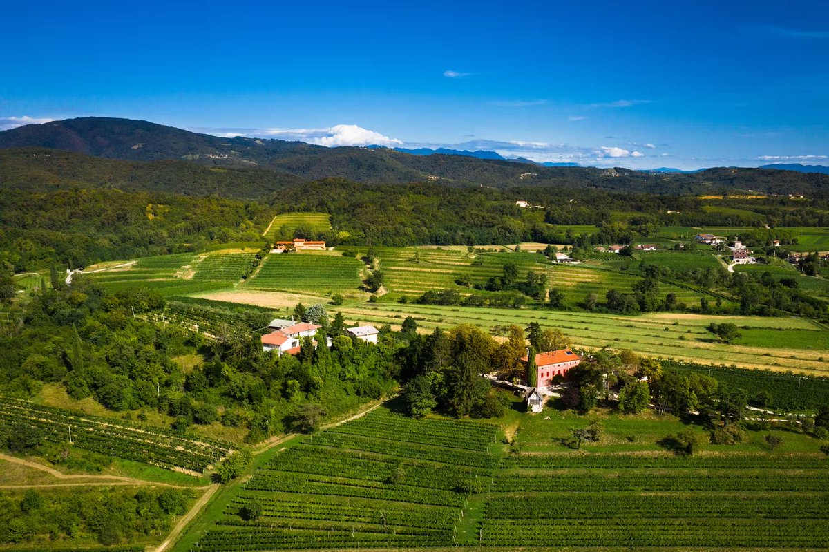 TurismoFVG tweet media