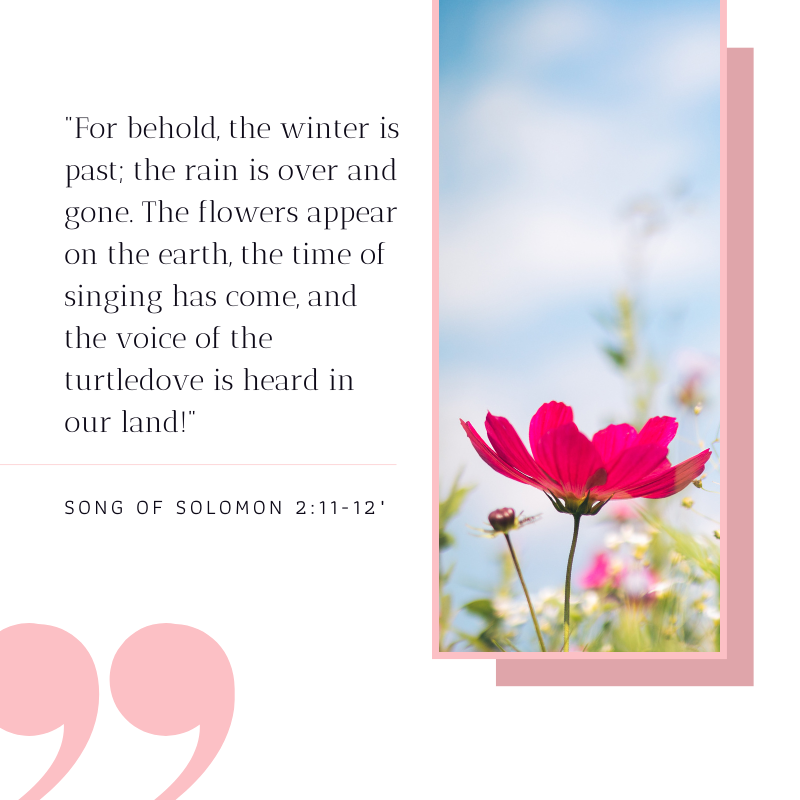 Today is the first day of Spring! 🌷 'For behold, the winter is past; the rain is over and gone. The flowers appear on the earth, the time of singing has come, and the voice of the turtledove is heard in our land!' - Song of Solomon 2:11-12