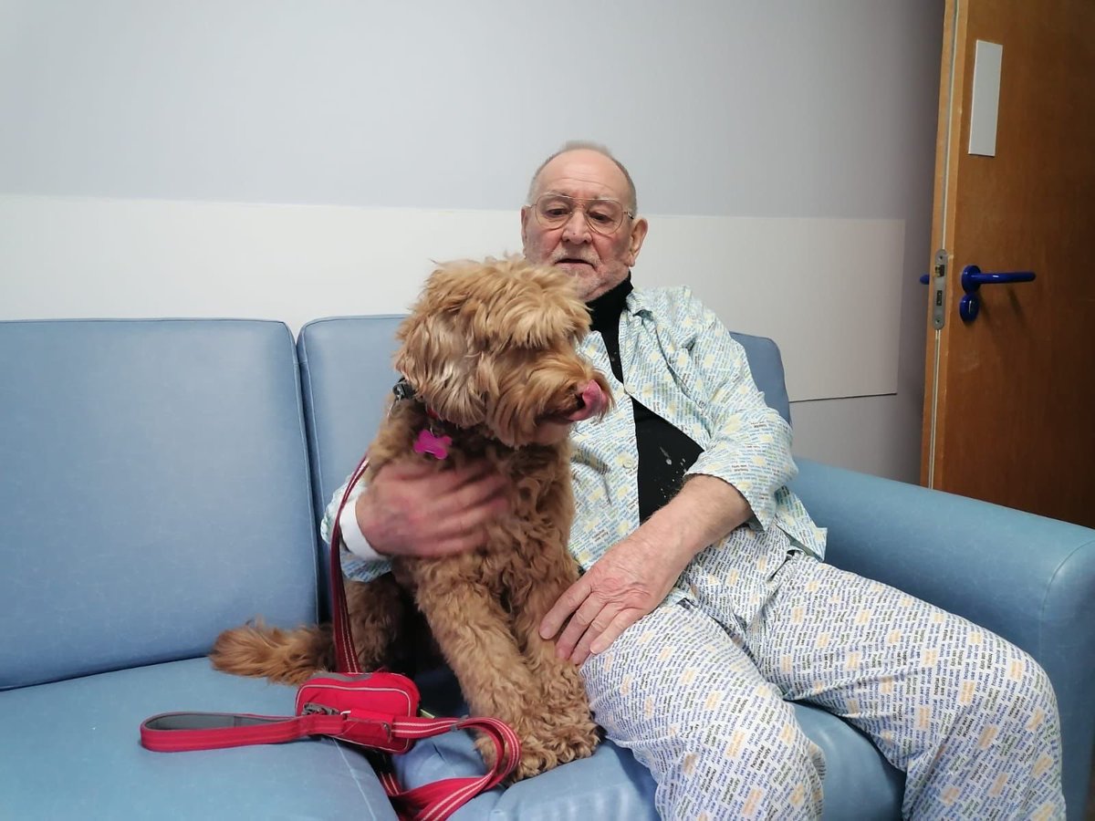 Our favourite dog did her first visit to PRH ICU today and what joy she brought with her! Patients and staff with smiles on their faces, mood lifted and patients ready to engage with rehab! The patient was overjoyed to share his photo and this experience with you all! ⁦