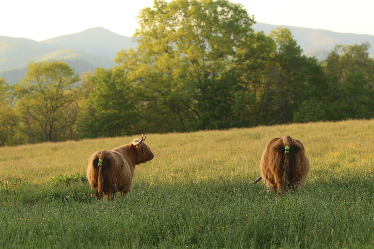 Wynnstay Group tweet media