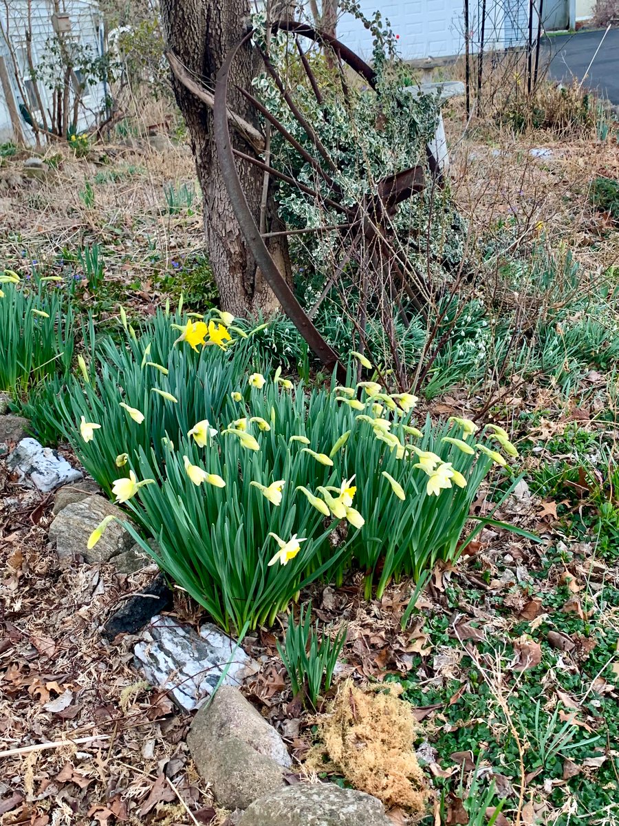 Chandra Prasad (she/her) tweet media