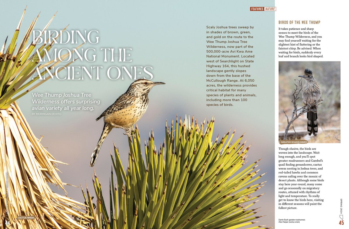 Nevada Magazine tweet media