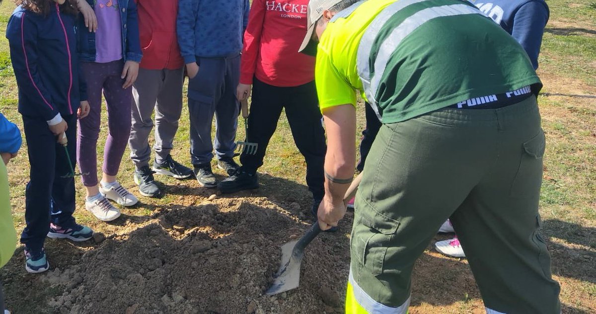 Nuestro alumnado de 4° de #PRI en colaboración con el @AytoArroyo realiza una plantación de #Árboles en un espacio verde de la localidad 🌳Cuidamos el entorno 🌳Plantamos un árbol 🌳 Sostenibilidad y ecología Por un Planeta 🌎 más habitable 💪🏼💪🏼 @educacyl #SoyDelRaimundo