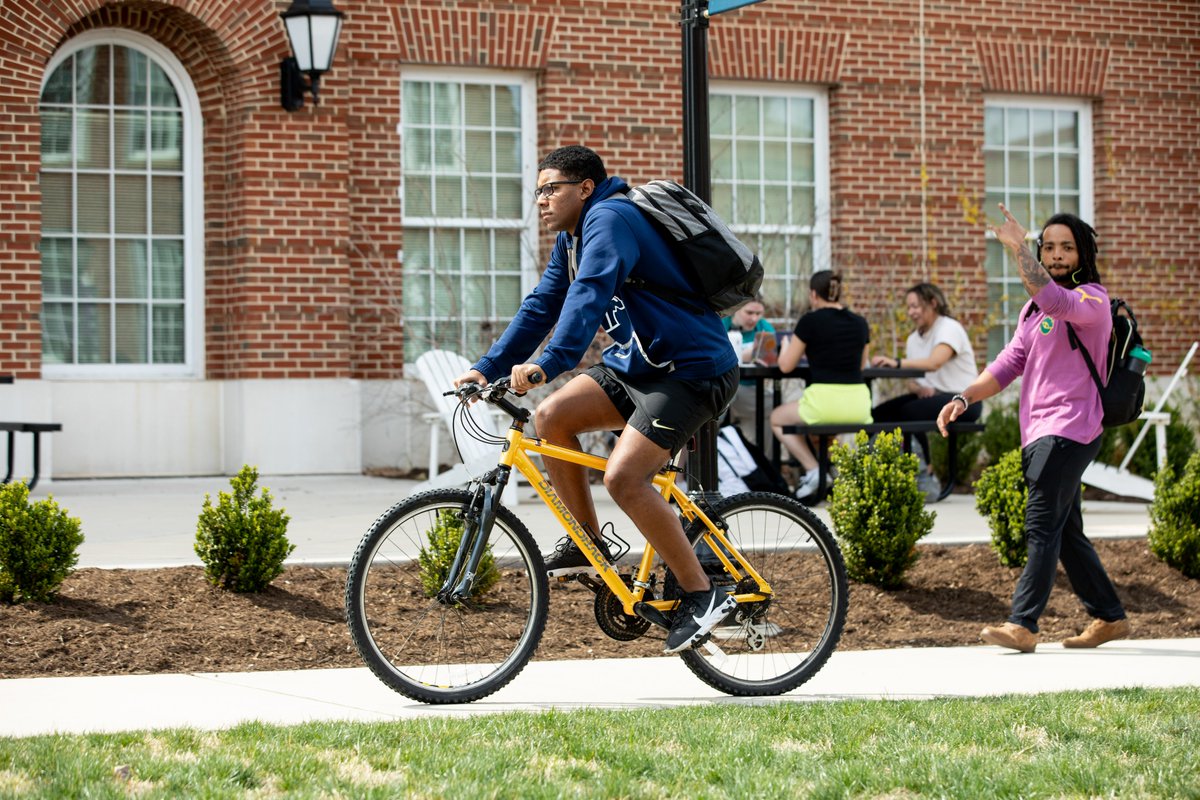 Happy first day of spring! 🌞🌷🌳 Here's to longer days, studying outdoors, biking, and more!