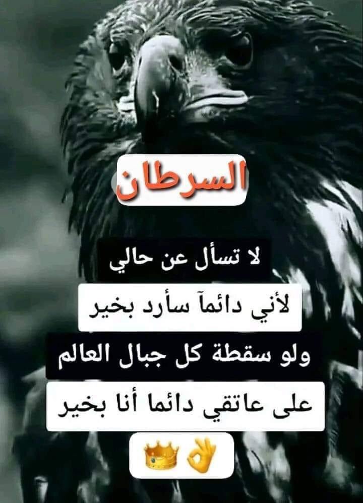 مولد برج السرطان