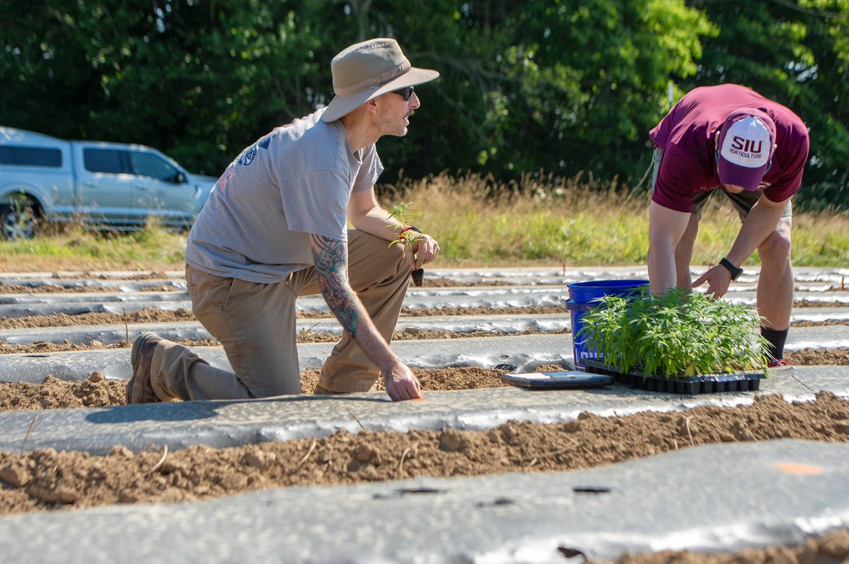 2024 National Ag Day... 'Growing a Climate for Tomorrow'.

Today, we recognize the hard work and dedication of producers who feed and sustain us all. Let's celebrate the vital role agriculture plays in our lives. 

#NationalAgDay #agronomia #ag  #cea #thisissiu @SIUC