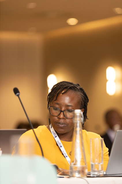 Day 2: #AfricaIACC in pictures