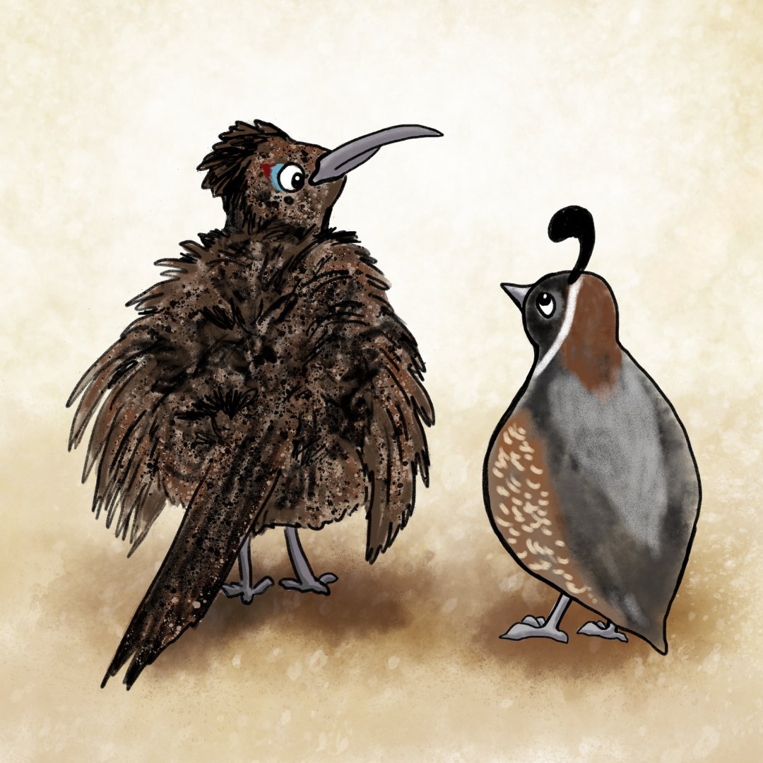 Are these feathered friends hatching up a plan? Find out in the second edition of Desert Friends, now available at our website. 
#KidLit #DesertAnimals