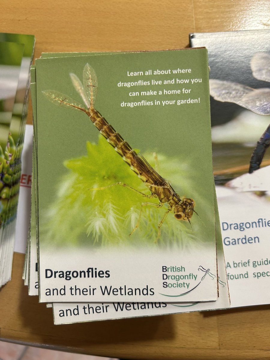 First talk of today was to Coventry Macular Group @macularsociety on ‘Dragons of Britain’ A good group with lots of questions about how to encourage dragonflies & damselflies to their gardens @BDSdragonflies