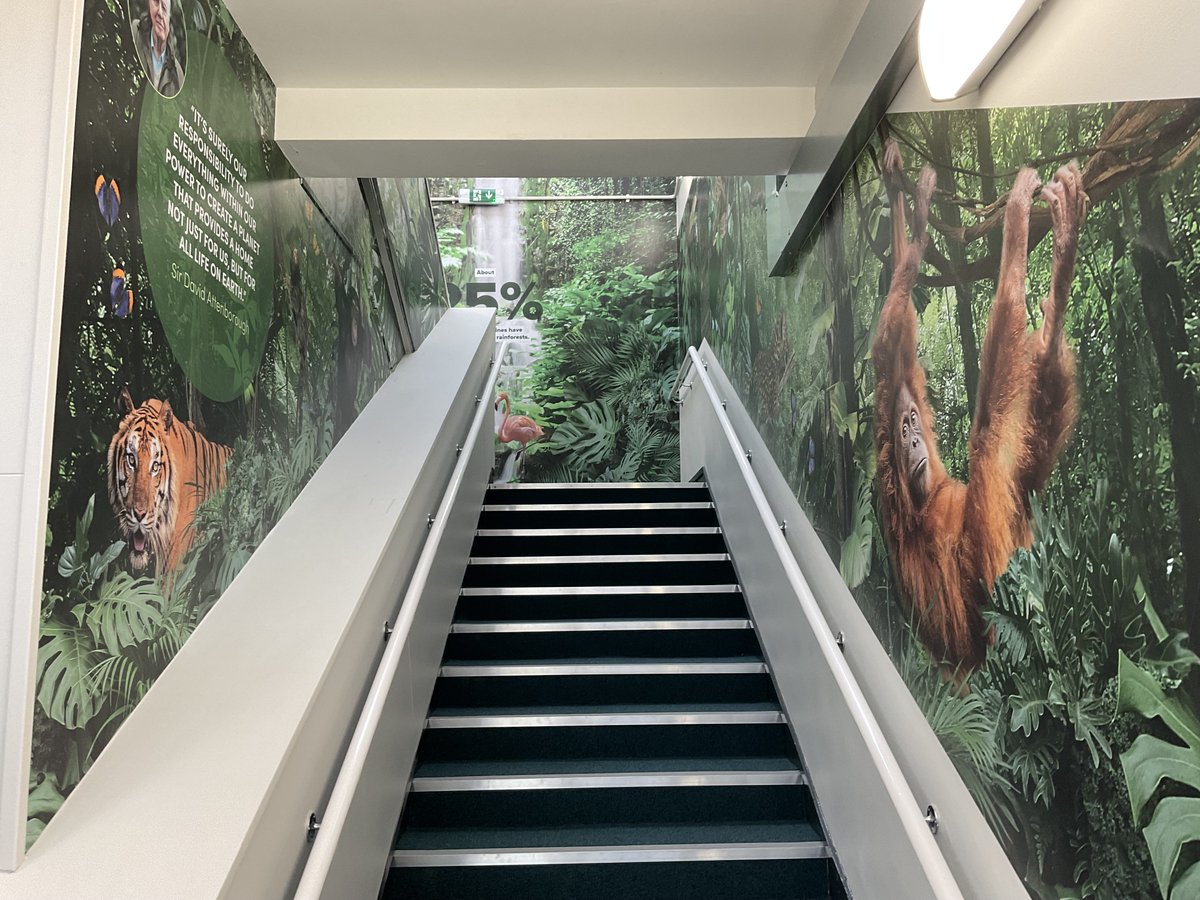 Walsall Council tweet media