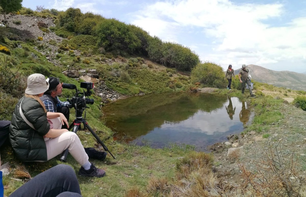 🎞️Preestreno del documental ‘Sierra Nevada y Tabernas, de las nieves eternas al desierto’ 🏔️Participan investigadores #UGR del proyecto Smart Ecomountain–LifeWatch Eric @LifeWatchERIC  🗓️20 marzo 🕖19:00 📍Sala Máxima, Espacio V Centenario Conoce más⬇️ sl.ugr.es/DocumentalSier…