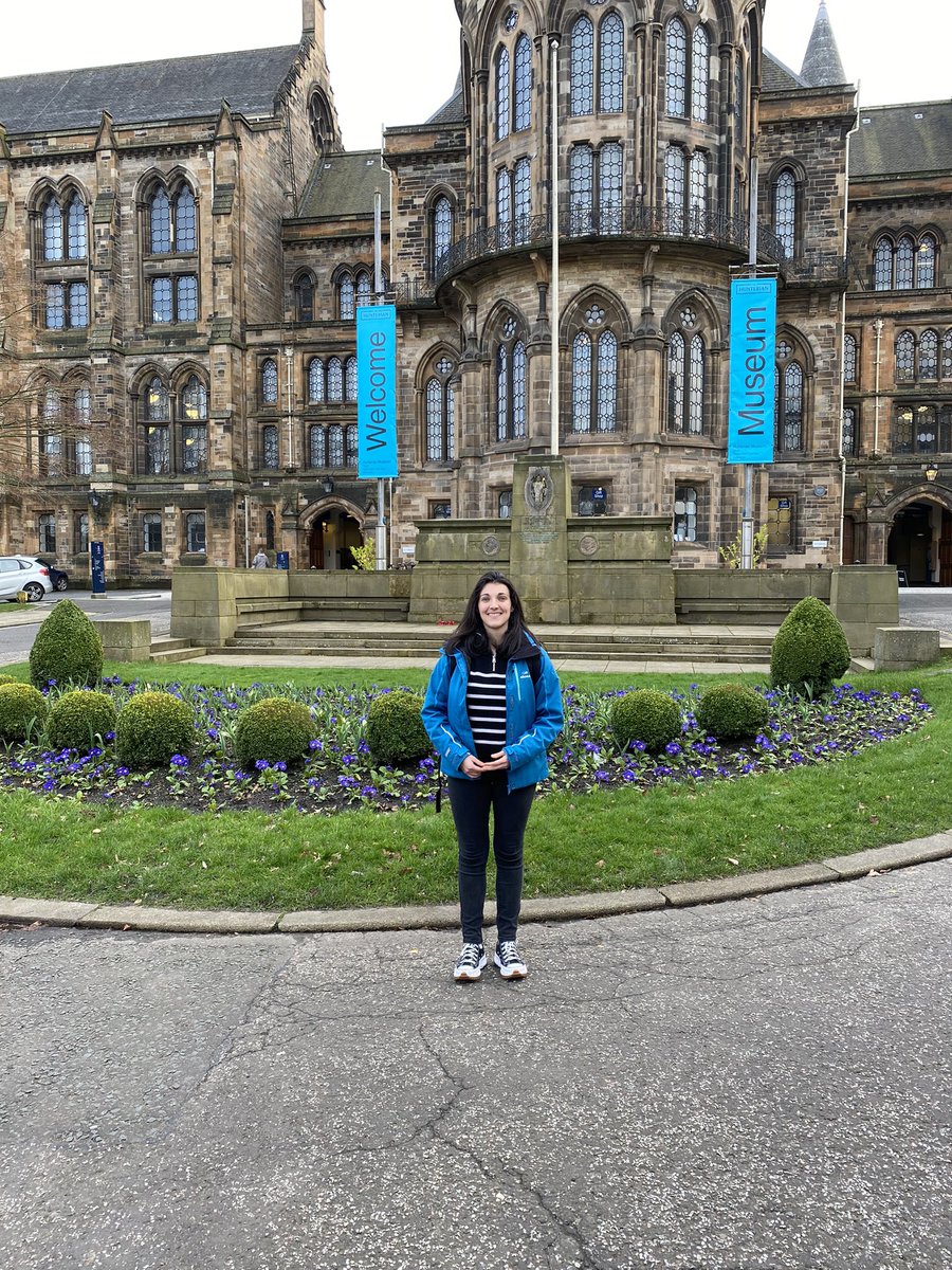 Sarah Cooper tweet media