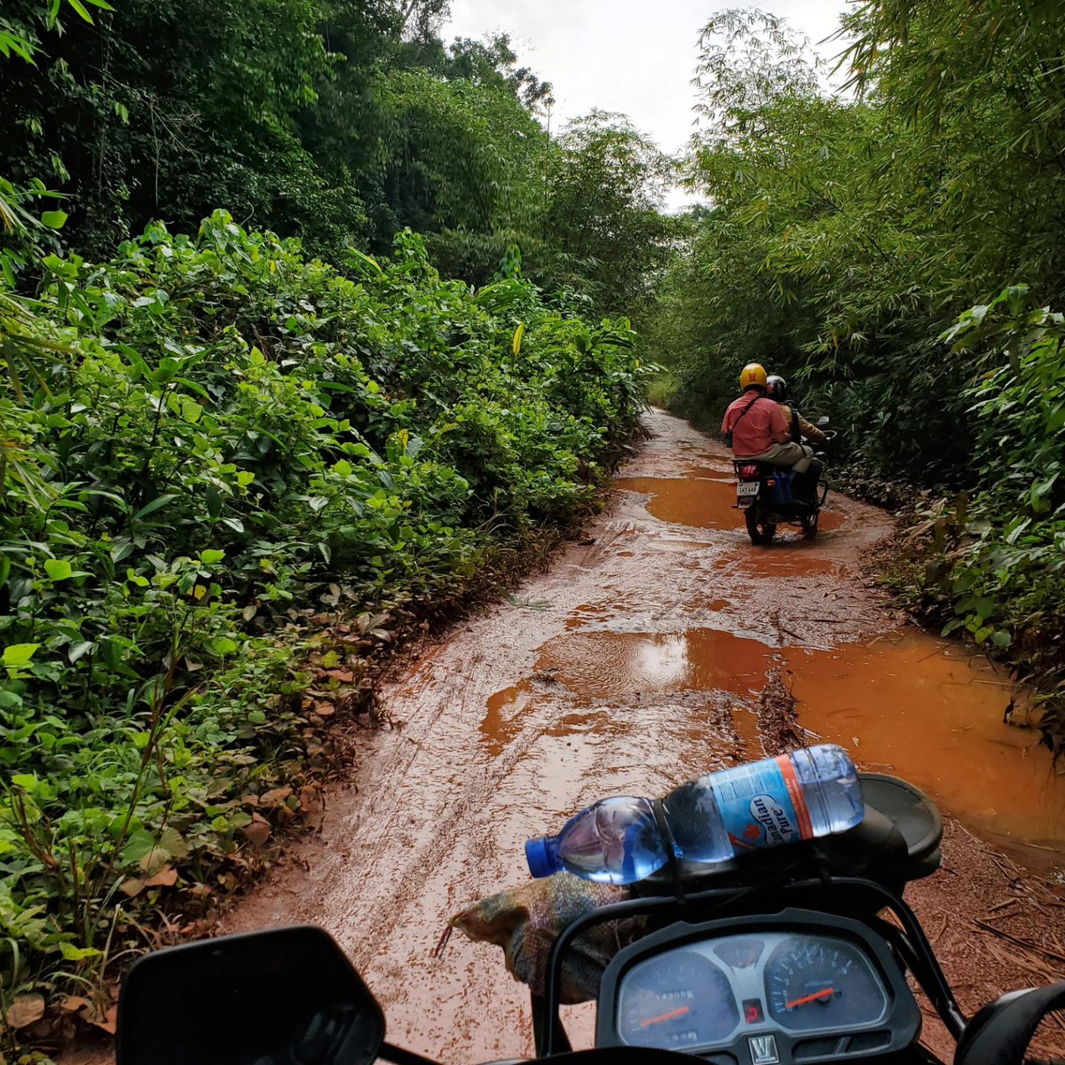 Artemis_African's tweet photo. Plongez dans l'aventure au cœur de l'Afrique avec Visit Congo ! 🇨🇩 Du majestueux fleuve Congo aux profondeurs de la forêt équatoriale, découvrez la diversité incroyable de la faune et de la flore de cette région préservée. 🦍🌿📸 #VisitCongo #Exploration #BassinDuCongo #Nature https://t.co/VQMVYW2rpy