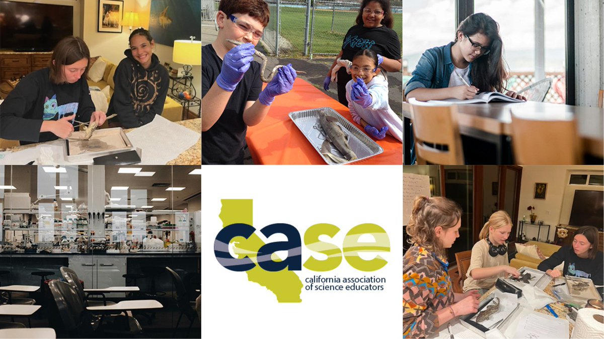 cascience's tweet photo. The Spring issue of California Classroom Science is out now. So many great articles including a special round of topics on dissection. Thank you to our amazing contributing writers. https://t.co/YkRQDBm0hy
#cascience #californiaclassroomscience #science https://t.co/H2SHbfQ4DB