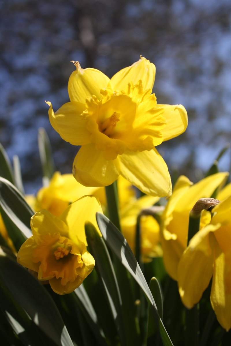 redbuttegarden's tweet photo. One of our favorite days of the year, when the calendar turns (finally) from winter to spring 🌼🌷 Happy #SpringEquinox! @UUtah https://t.co/uVMyRdp0BE
