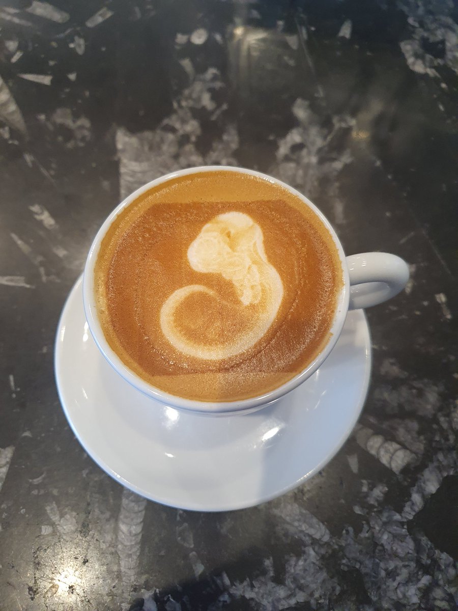 Alejandro Aguilera Castrejon (@alejandroagca) on Twitter photo Embryo coffe at my new home <a href="/HHMIJanelia/">HHMI | Janelia</a>. I'm beyond excited to open my lab at such amazing institution. Embryo coffe at my new home <a href="/HHMIJanelia/">HHMI | Janelia</a>. I'm beyond excited to open my lab at such amazing institution.