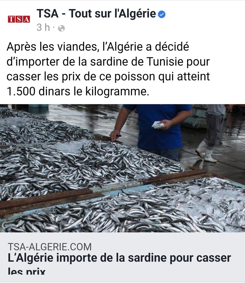 Diaspora Saharaui tweet media