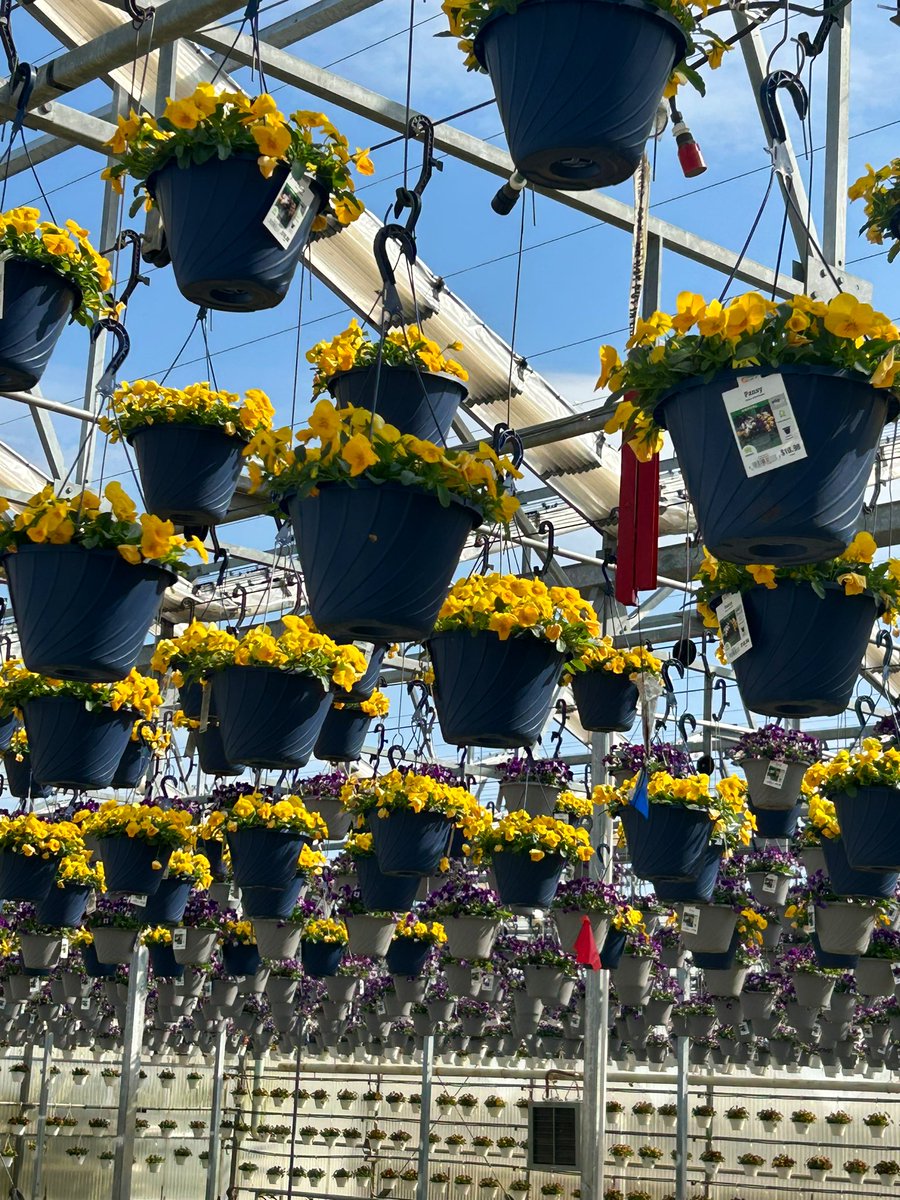 GCG Merchandising tweet media