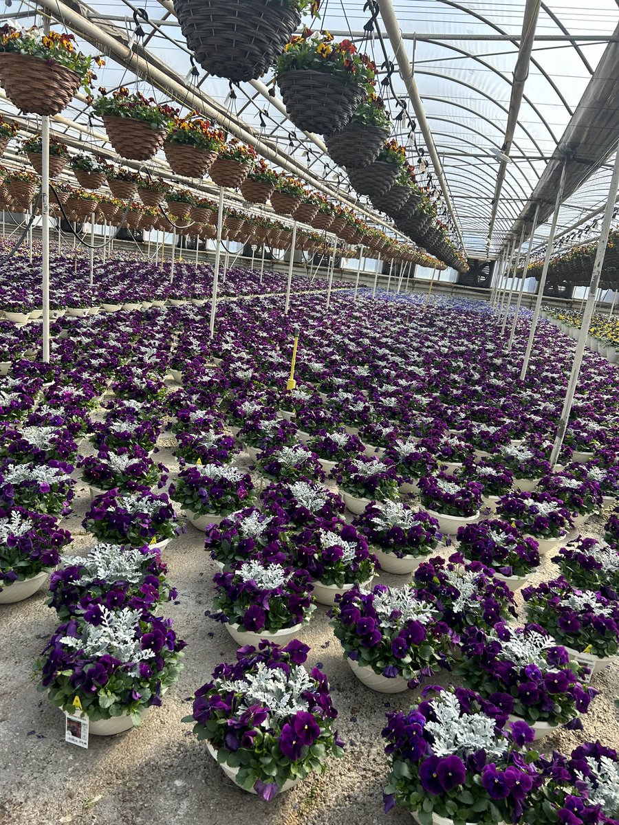 GCG Merchandising tweet media