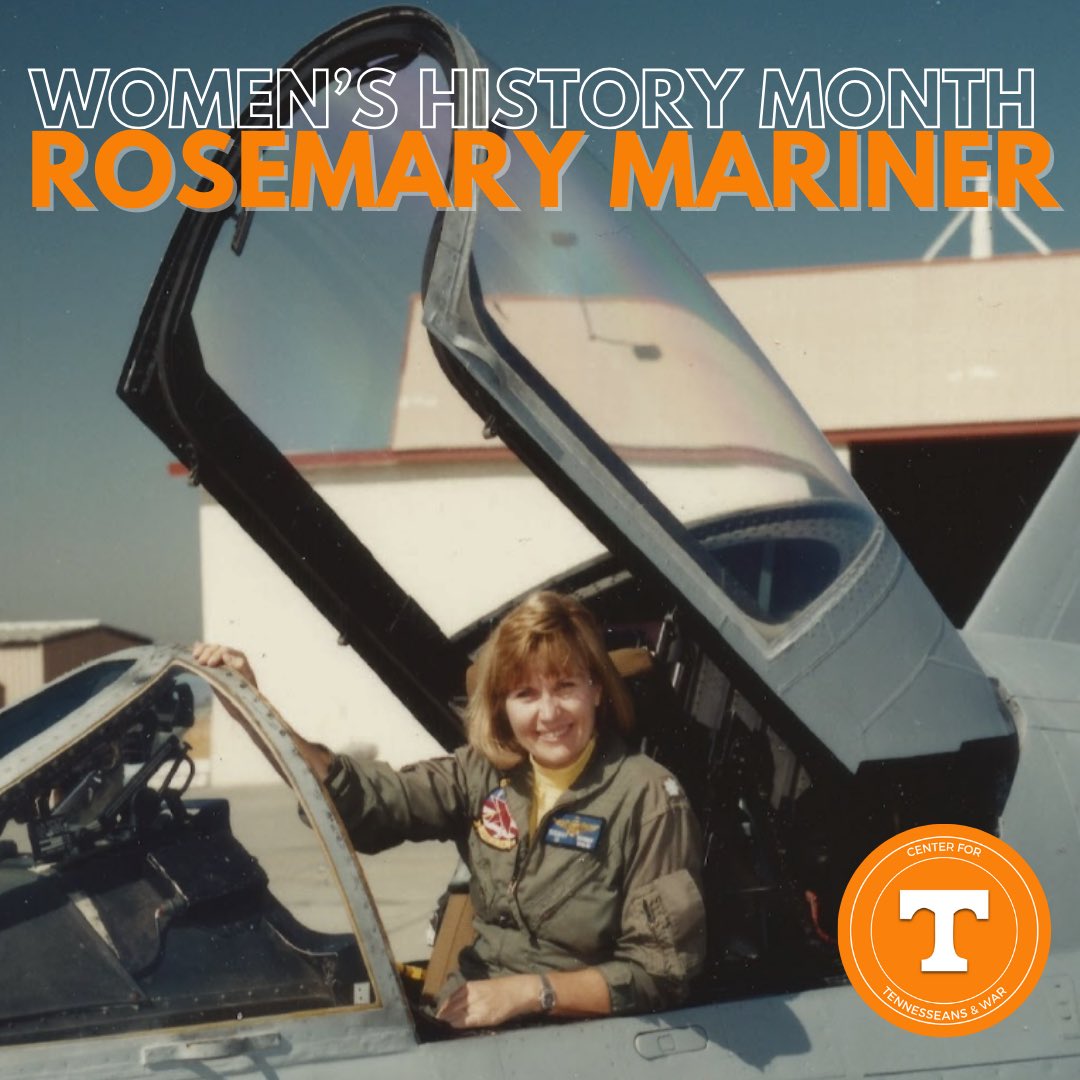 TNandWar tweet media