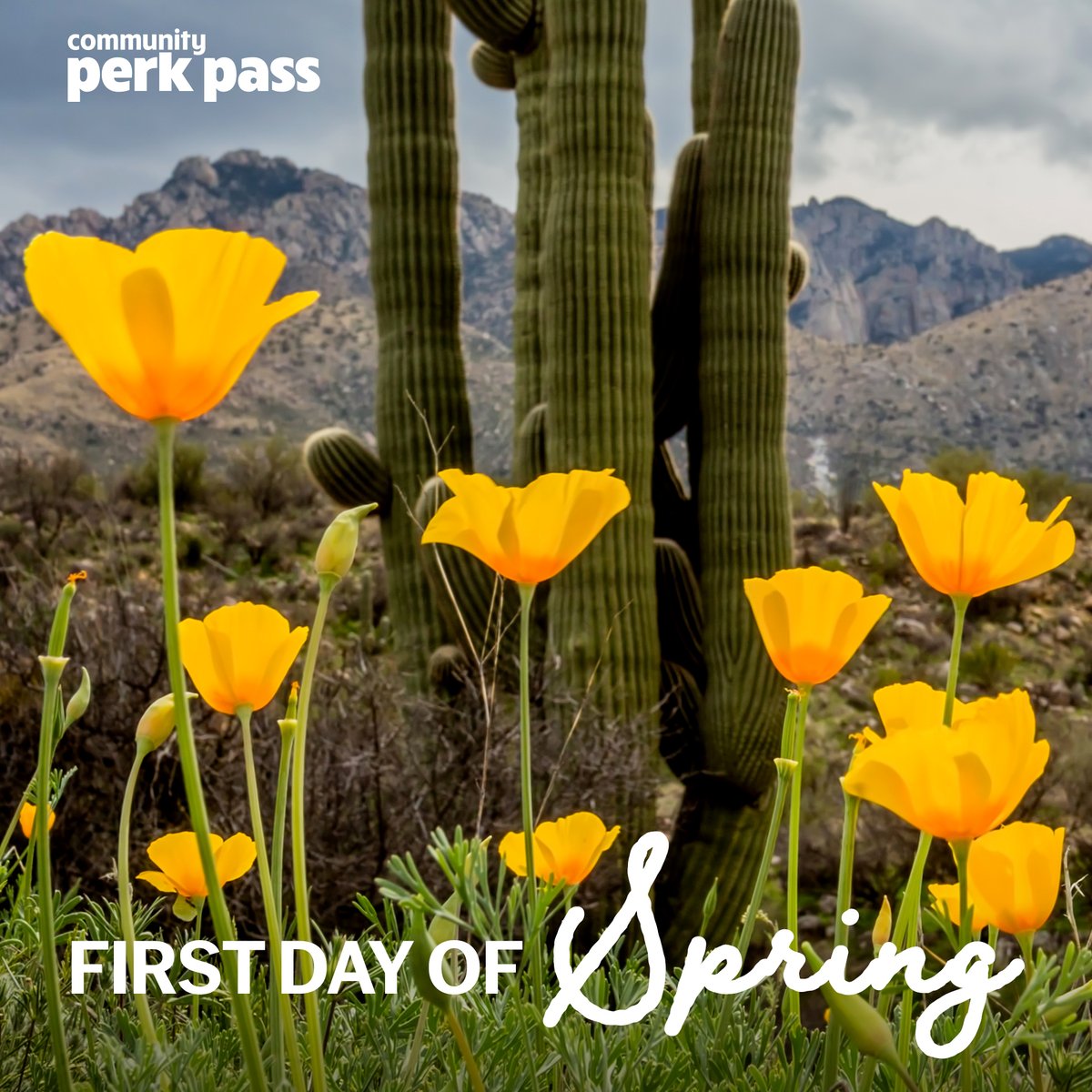 azperkpass's tweet image. Happy Spring from the Community Perk Pass team! Go and make some memories this spring using your passes!
#AZ #AZSpring #MarchMadness #AZFun #AZFamily #AZWithKids #PhoenixWithKids #Gilbert #Mesa #ScottsdaleAZ communityperkpass.com/coupon/springb…