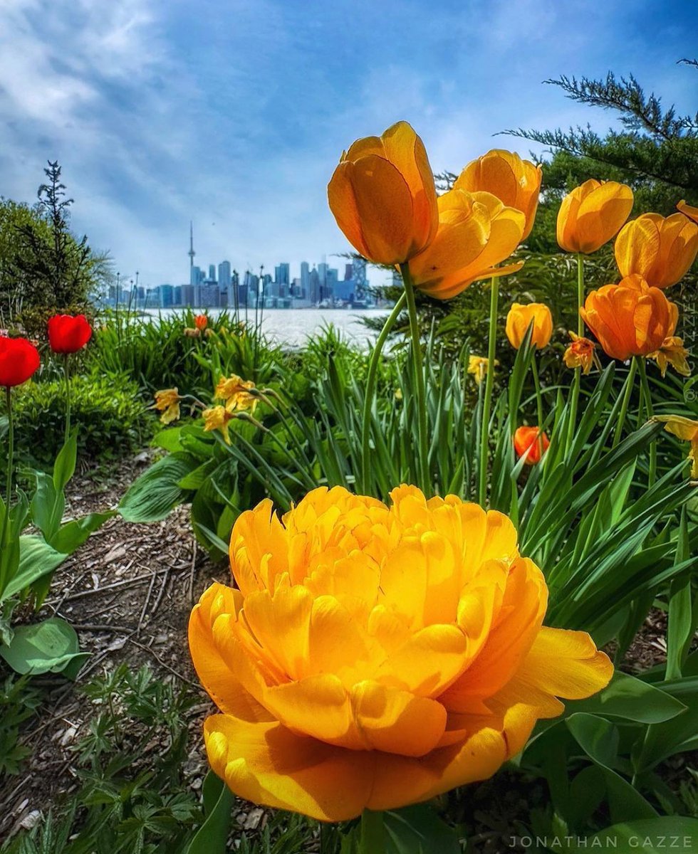 Happy first day of spring, Toronto! 🌸☀️We look forward to hosting many great events in the coming months. #firstdayofspring #springto 📷 @jgazze