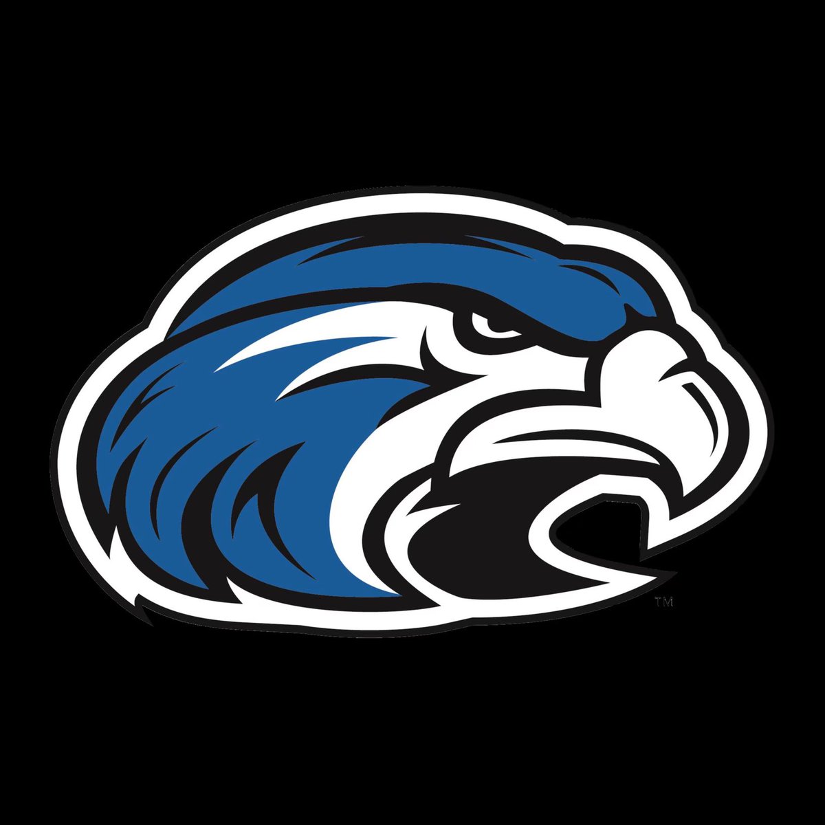 Excited to receive my first D2 offer from Shorter Basketball! Thank you to Coach Anderson &amp; Coach Lydic for a great visit today! #FlyHawks