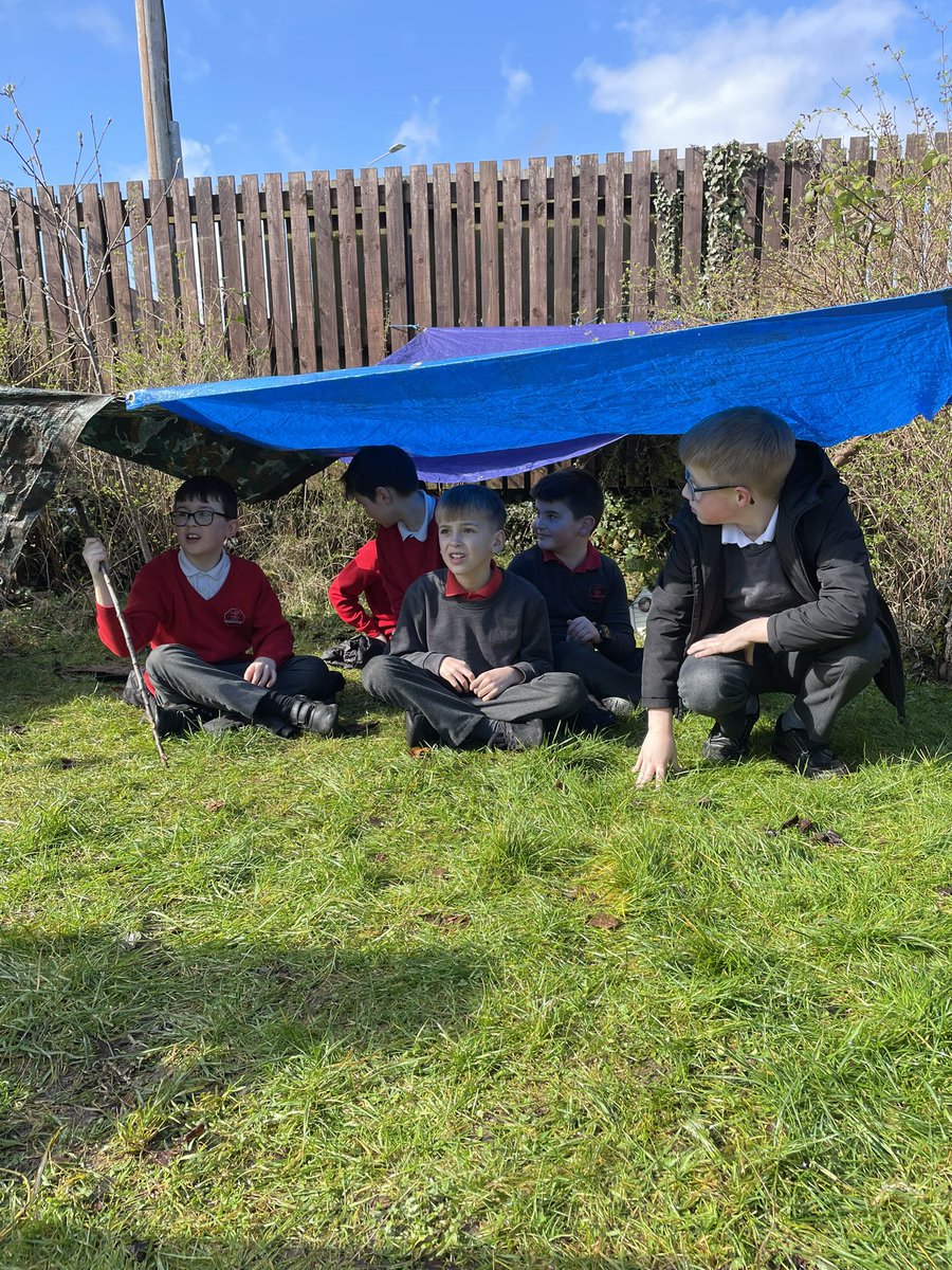 P5 enjoying building dens today as part of our #JohnMuirAward. Great teamwork and problem solving 😊