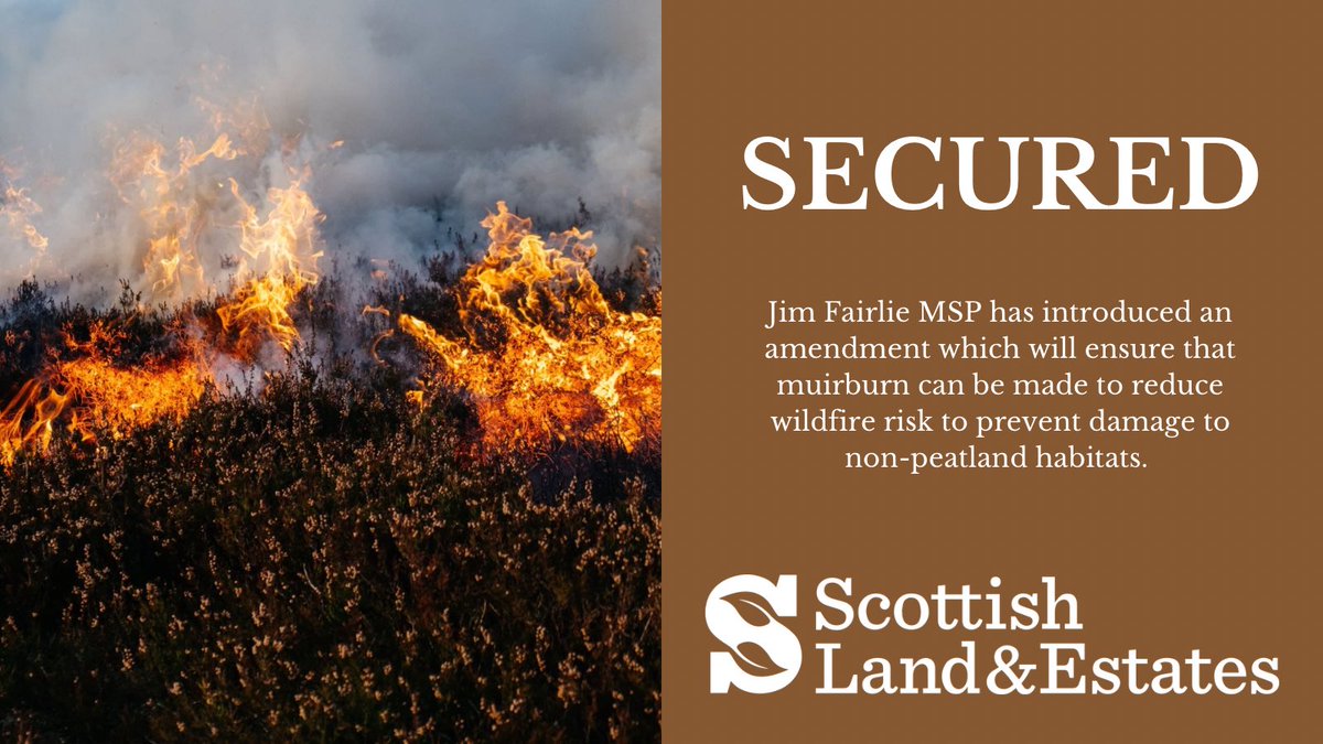 During stage 3 of the Wildlife Management & Muirburn Bill in @ScotParl, @JimFairlieLogie has created a new licensable purpose which will enable muirburn to be made to reduce wildfire risk on non-peatland habitats. This will provide greater flexibility to land managers.