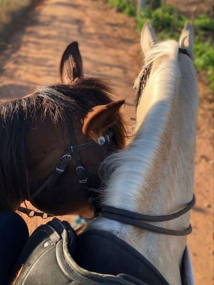 حدثوني عن أدفى كِلمة إنقالت لكُم ومَا نسيتوها من فرط حنيّتها، بخاطري أقرأ ألطف الكلمات اللي كان لّها أثر فِي النفسَ