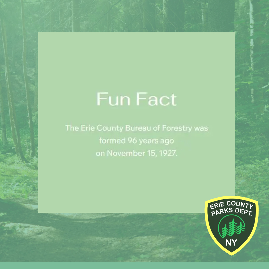 Want to learn more about the Erie County Bureau of Forestry and the Forestry Management Plan? Please join us for our first public meeting on Wednesday March 20th from 6-7:30pm at the Chestnut Ridge Casino Meeting Room. Visit ow.ly/RHWm50QLOig to learn more!