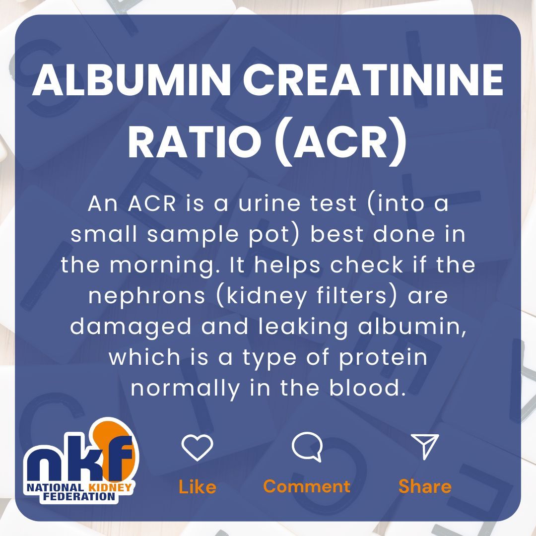 ACR (Albumin Creatinine Ratio) An ACR is a urine test (into a small sample pot) best done in the morning. It helps check if the nephrons (kidney filters) are damaged and leaking albumin, which is a type of protein normally in the blood. kidney.org.uk/proteinuria