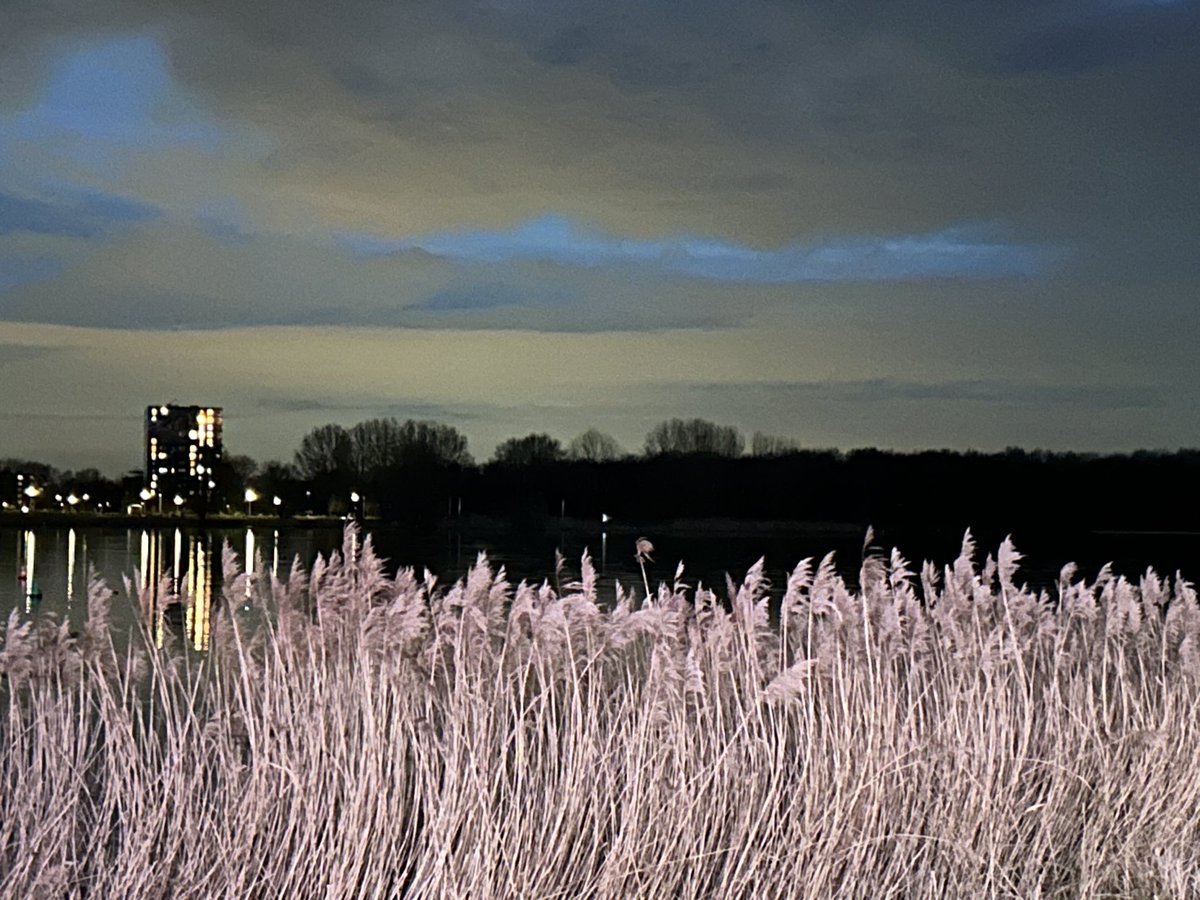De stille pracht van de natuur, gevangen in de schemer; waar de rust van het water de hemel ontmoet en het riet zachtjes fluistert met de nacht! #GelukkigNoroez! نوروز مبارک