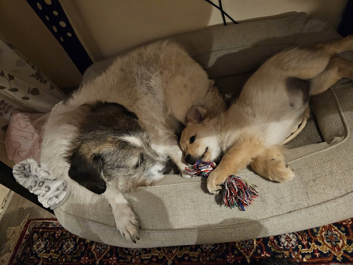 Bombi_Metall mit Herz tweet media