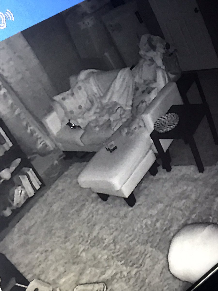 jessbecuzz's tweet image. 🤣